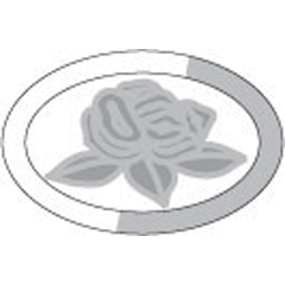 Etched Rose152x102mm (1)