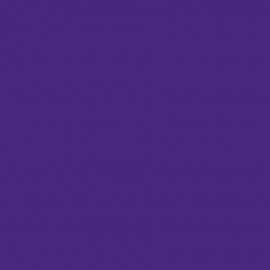 RT1 Purple (A)