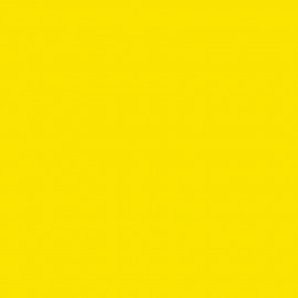 RT12 Dark Yellow (A)